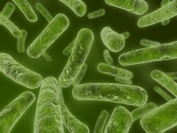 Chlamydia Enfeksiyonu ve Kısırlık Üzerine Etkisi