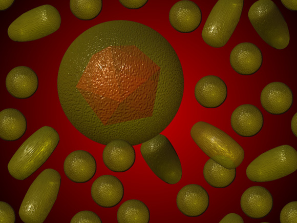 Hepatit B Nedir? Soru ve Cevaplar