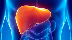 Hepatit E Virusu ve Önemi