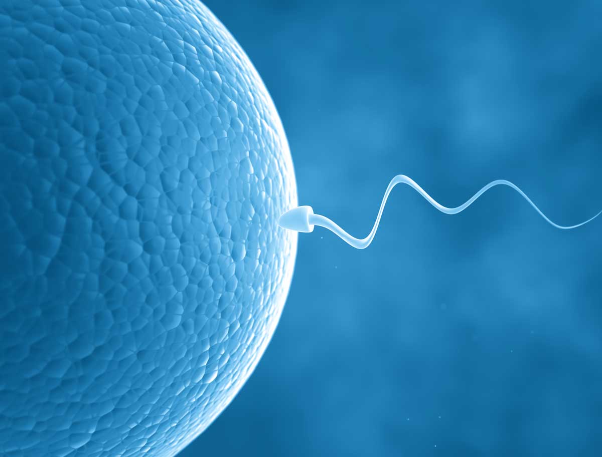 Sperm kalitesini Olumsuz Etkileyen Sebepler Nelerdir?