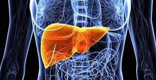 Karaciğer Sirozu Nedir?